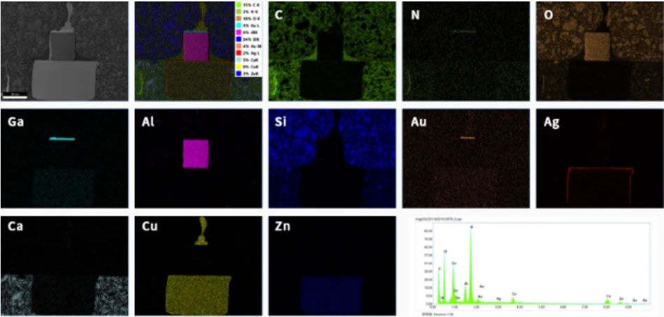 sem microscope price