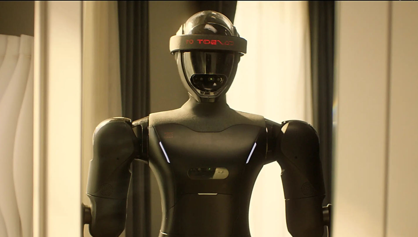 humanoid Robot