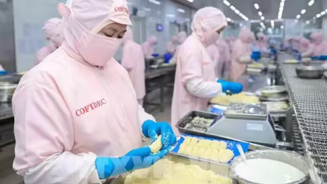越南进出口 越南进出口