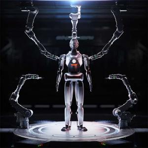 China Top of humanoid ai robot SE01