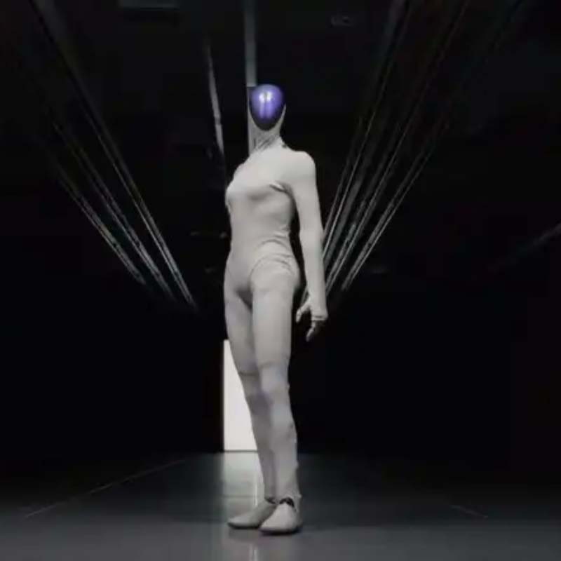 ai humanoid robot