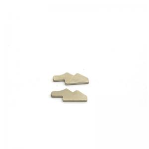 China top of Custom Shaped NdFeB Magnet