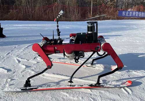 6本足のスキーロボットが公開されました.ロボットと一緒にスキーをしましょう！