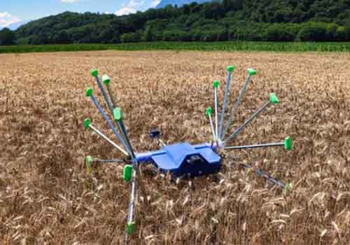 SentiV ロボットは畑を横切って移動し、作物を検査するために転がることができます