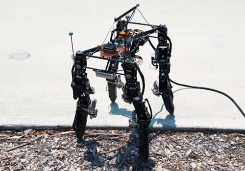 四重ロボットの進化は複雑な地形に適応するのにのみです